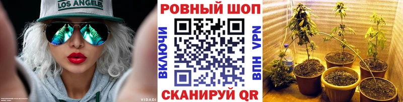 МЕТАДОН Заречный