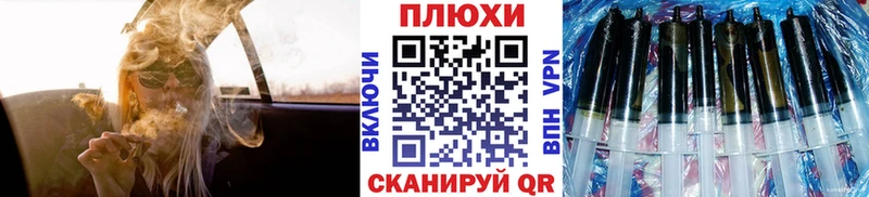 Гашиш AMNESIA HAZE  ссылка на мегу как войти  Заречный  где можно купить  