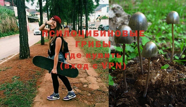 a pvp Дмитровск