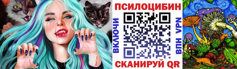 закладка Заречный Галлюциногенные грибы мухоморы