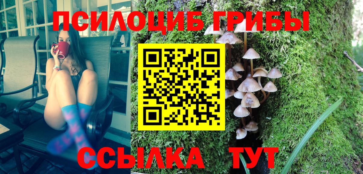 Галлюциногенные грибы MAGIC MUSHROOMS  Заречный 