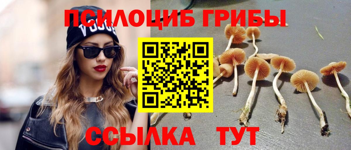 Галлюциногенные грибы Cubensis  Вход с VPN  Галлюциногенные грибы прущие грибы  Заречный 